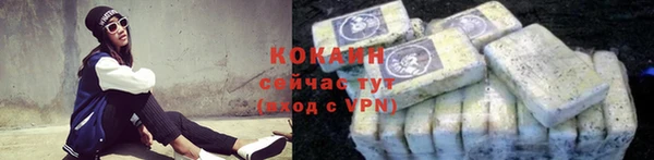 сатива Ладушкин