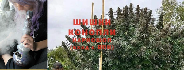 сатива Ладушкин