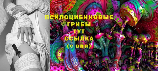 соль ск Лагань