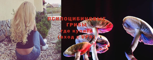 соль ск Лагань